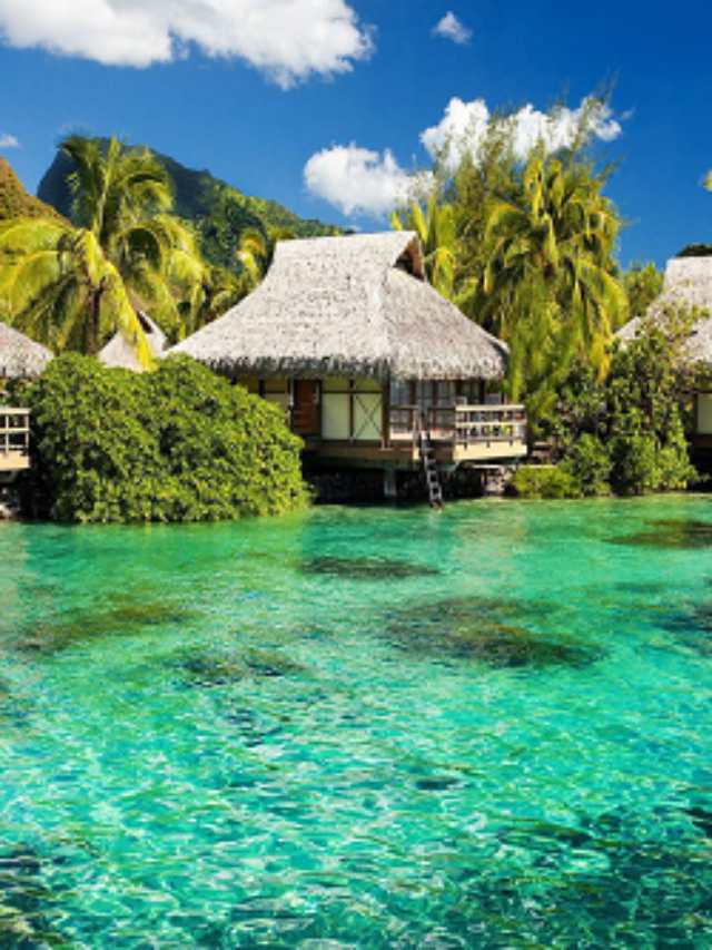 cropped-Jamaica.png