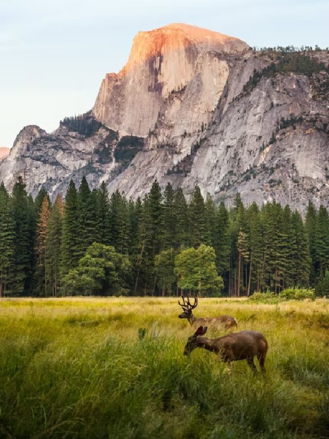 Most Beautiful Hiking Place In USA : Yosemite National Park