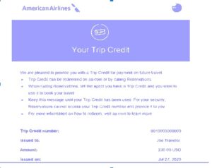 American travel voucher